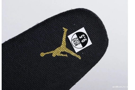 378038-016 Platinum Jordan (GS)  Retro Tint 378038-016 11 0515